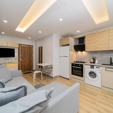 Chic Flat With Central Location In Muratpasa Apartment